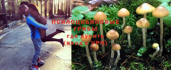 альфа пвп Надым
