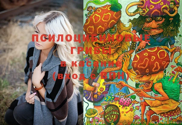 дживик Наволоки