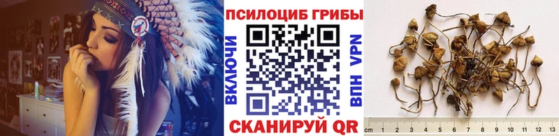 Галлюциногенные грибы GOLDEN TEACHER Цоци-Юрт