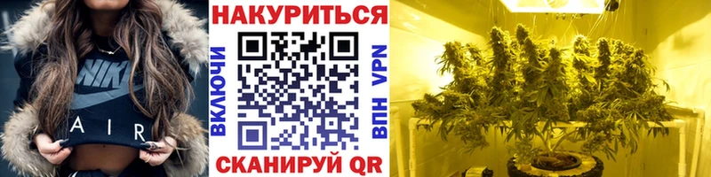 Бошки Шишки планчик Цоци-Юрт